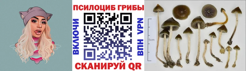Псилоцибиновые грибы мухоморы  kraken как зайти  Нижние Серги 